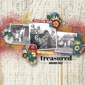 Treasured Memories