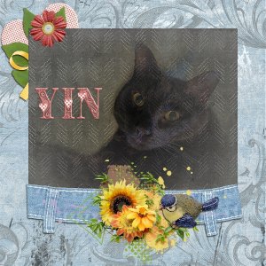 Yin UIA September