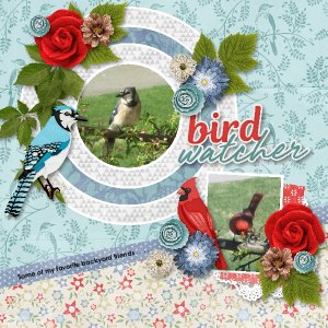 Template Challenge With Aimee Harrison GingerScraps 13th