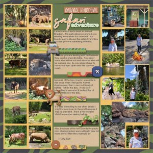 Animal Kingdom Safari
