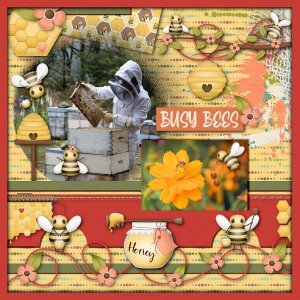 Bees + Honey
