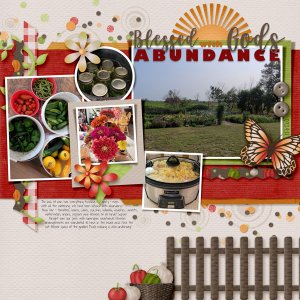 Gods Abundance