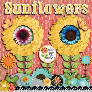 Sunflowers