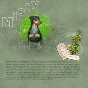 Misty