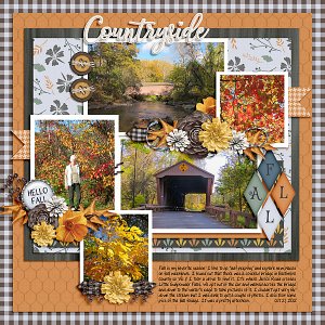 Fall in the Countryside