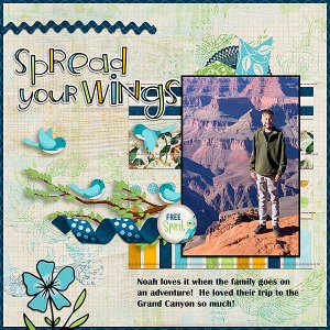 Spread Your Wings