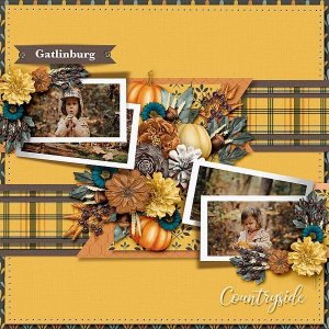 Fall Countryside