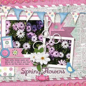 Spring Flowers