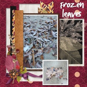Frozen leaves