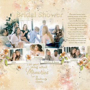 Briday Shower Guests