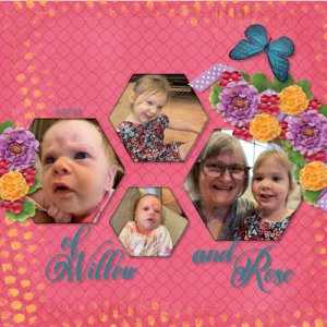 Many faces companion