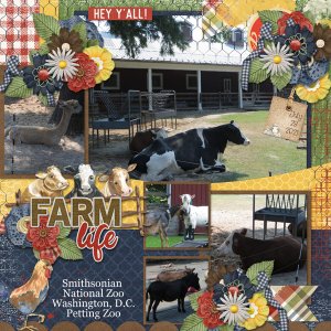 Farm Life