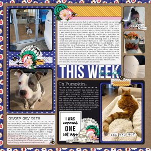 Project Life 2021 - Week 33 - Left Page