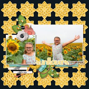 Sunflowers