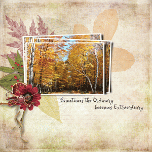 Fall Colors