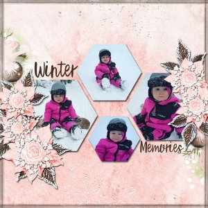 Winter Memories