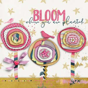 Bloom