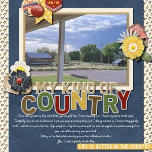 My Kind of Country