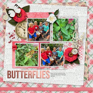Butterfly House 2021