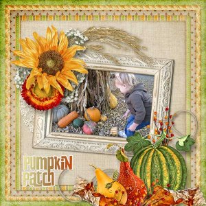 Pumpkin Patch