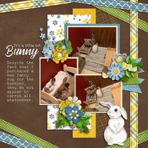It's a little bit Bunny
