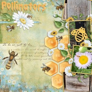 Pollinators