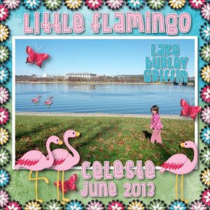 little flamingo