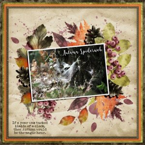 AUTUMN SPIDERWEB
