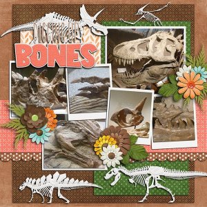 Diggin Up Bones