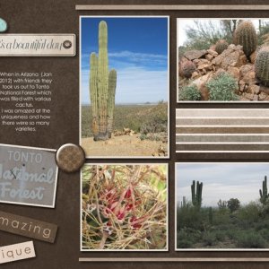 Tonto National Forest