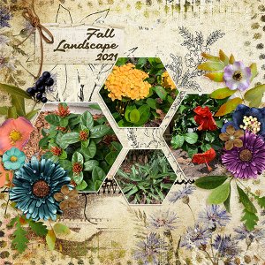 Fall Landscaping September 2021