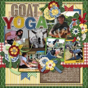Goat yoga