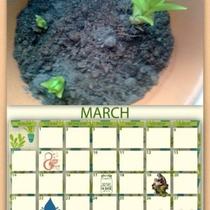 2022 March