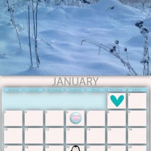 2022_January