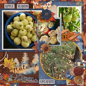Apple Season