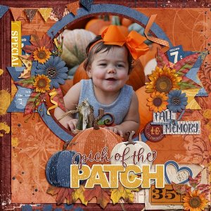 Pick of the Patch