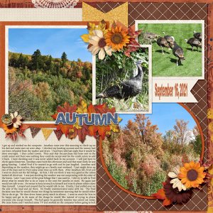 9-September_16_2021_Autumn_small