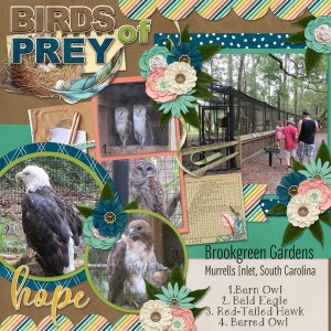 Birds of Prey