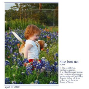 Bluebonnets
