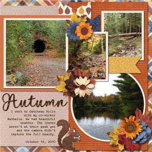 Life Chronicled: Autumn