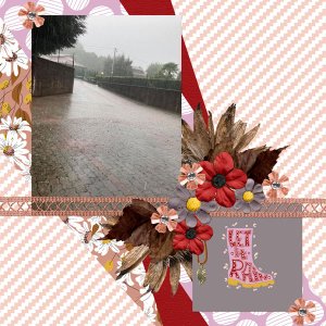 Rainy Fall Days