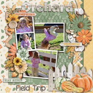 Orchard Field Trip
