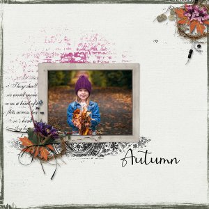 Pieces of Autumn