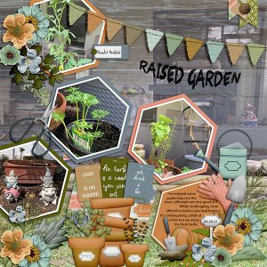 Raised Garden