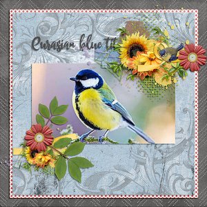 Beautiful Bird