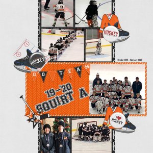 19-20 Hockey