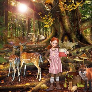 Autumn arrives in enchanted land