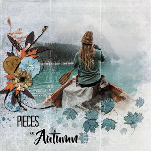 Pieces of Autumn