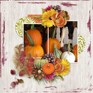 Fall Festival