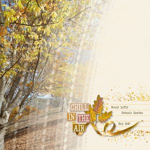 Autumn Trees